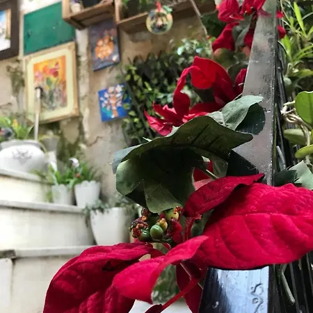 La Mansardina Готель типу 